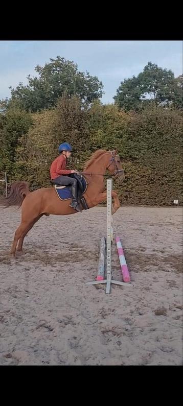 Gezocht 10-20 cuub zand voor paddocks beschikbaar voor biedingen