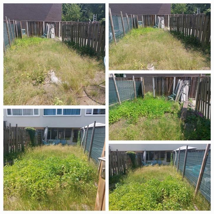 Tuinonderhoud, Diensten en Vakmensen, Tuinmannen en Stratenmakers