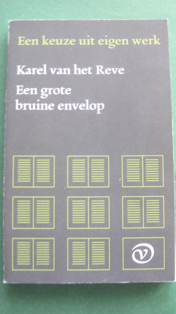 Karel van het Reve – Een grote bruine envelop, Boeken, Literatuur, Gelezen, Nederland, Ophalen of Verzenden