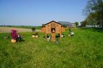 Trespa Kippenhok / Duplex 4XL - Cucciolotta, Dieren en Toebehoren, Pluimvee | Toebehoren, Ophalen of Verzenden, Nieuw, Kippenhok of Kippenren