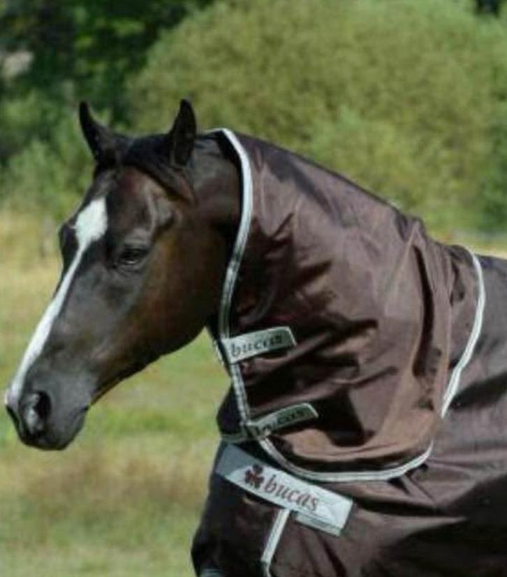 NIEUWE Bucas Smartex hals stay dry voering maat XS, M en XL, Dieren en Toebehoren, Paarden en Pony's | Dekens en Dekjes, Nieuw
