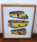 Prent van 3 oude Rotterdamse Stadsbussen ( jaren 40 tot 60 ), Ophalen of Verzenden, Voor 1940, Zo goed als nieuw, Overige onderwerpen