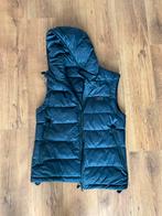 Peuterey Bodywarmer heren - Maat S, Ophalen of Verzenden, Nieuw, Blauw