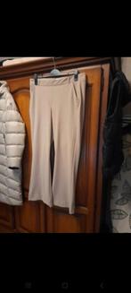 studio anneloes broek xl, Ophalen of Verzenden, Zo goed als nieuw, Broek of Spijkerbroek
