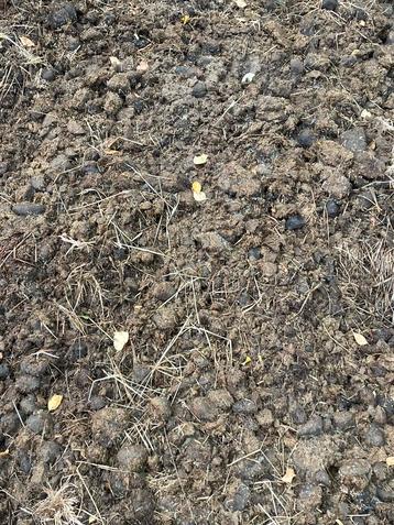 Paardenmest gratis afhalen beschikbaar voor biedingen