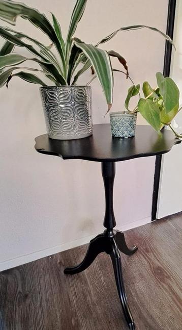 Klassiek zwart bijzet tafeltje - plantentafeltje beschikbaar voor biedingen