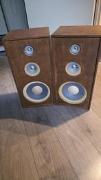 2 Luidspeakers, Audio, Tv en Foto, Luidsprekers, Gebruikt, Minder dan 60 watt, Front, Rear of Stereo speakers, Ophalen