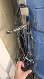 Hoofdstel Cob, Dieren en Toebehoren, Paarden en Pony's | Hoofdstellen en Tuigage, Ophalen, Dressuur