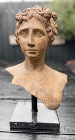 Bronzen buste dameshoofd prachtige patine zuiver fraai brons, Antiek en Kunst, Ophalen of Verzenden