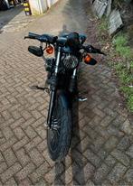 Koplamp cover /rooster Harley 883, Ophalen of Verzenden