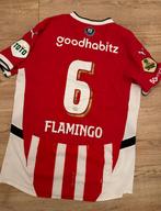 Matchworn shirt PSV: Ryan Flamingo, Ophalen of Verzenden, Gebruikt, PSV, Shirt