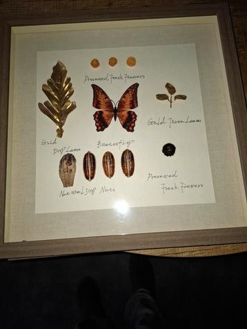 Bloemen Collage Ingelijst - Uniek Decoratiestuk beschikbaar voor biedingen