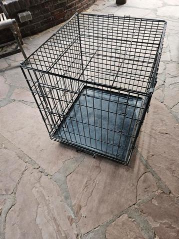 Honden/katten bench beschikbaar voor biedingen