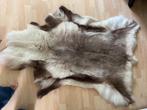 Mooie Sami Finse Rendierhuid, Ophalen, Echte Rendiervacht, 100 tot 150 cm, Crème