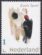 Michelle Dujardin – Spechten – zwarte specht – MNH, Postzegels en Munten, Verzenden, Na 1940, Postfris