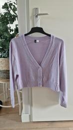 Lila H&M Divided vest - Maat L, Maat 42/44 (L), Ophalen of Verzenden, Zo goed als nieuw, Paars