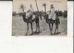 Sahara Arabieren op hun kamelen, Ophalen of Verzenden, Voor 1920, Ongelopen, Buiten Europa