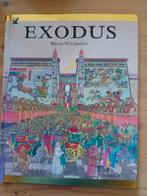 Exodus - Brian Wildsmith - Geïllustreerd Kinderboek, Ophalen of Verzenden, Gelezen, Brian Wildsmith, Christendom | Protestants