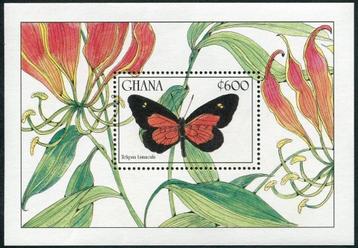 GHANA 29 - Dieren: insecten (vlinder) beschikbaar voor biedingen