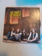 The grapes of wrath 7 inch all the things i wasn,t, Ophalen of Verzenden, Zo goed als nieuw, Pop