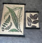 Botanische posters HK LIVING, Ophalen, Zo goed als nieuw