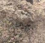 GRATIS zand voor terras of oprit, ophoog zand, vul zand, Tuin en Terras, Ophalen, Zo goed als nieuw, Ophoogzand