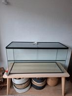 Hamsterkooi, Kooi, Zo goed als nieuw, Hamster, 75 tot 110 cm