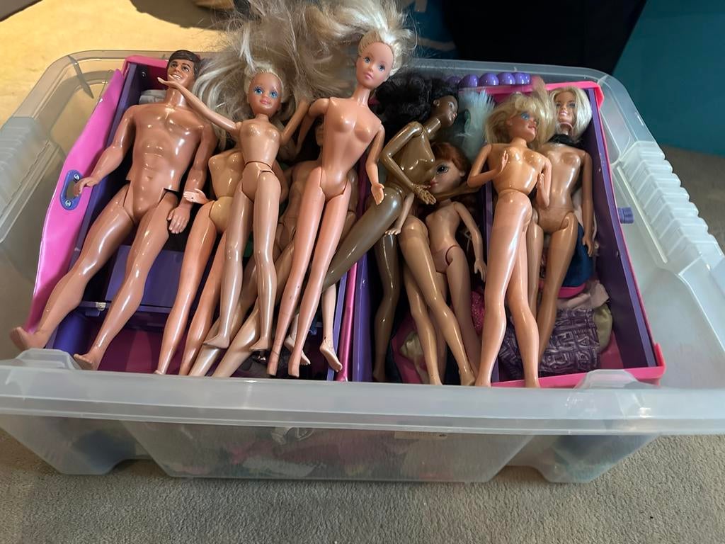 Barbies, Kinderen en Baby's, Speelgoed | Poppen, Ophalen, Gebruikt, Barbie
