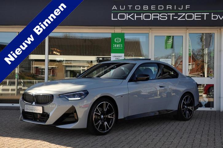 BMW 2 Serie Coupé 220i High Executive | Brooklyn Grey | Sch, Auto's, BMW, Bedrijf, Te koop, 2-Serie, ABS, Airbags, Airconditioning