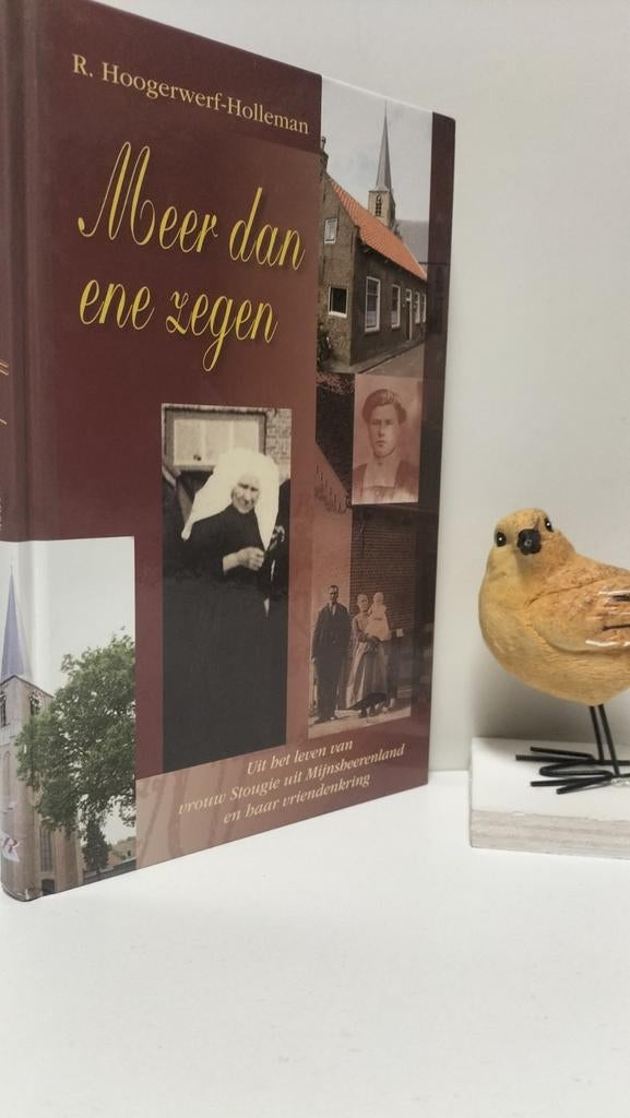 Hoogerwerf-Holleman, R.; Meer dan ene zegen, Ophalen of Verzenden, Gelezen, Christendom | Protestants