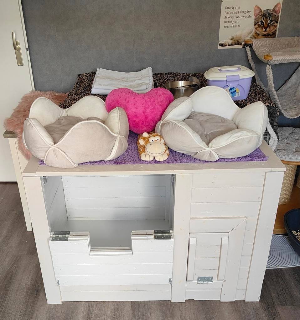 Zeer mooie werpkist voor katten, Ophalen, Zo goed als nieuw