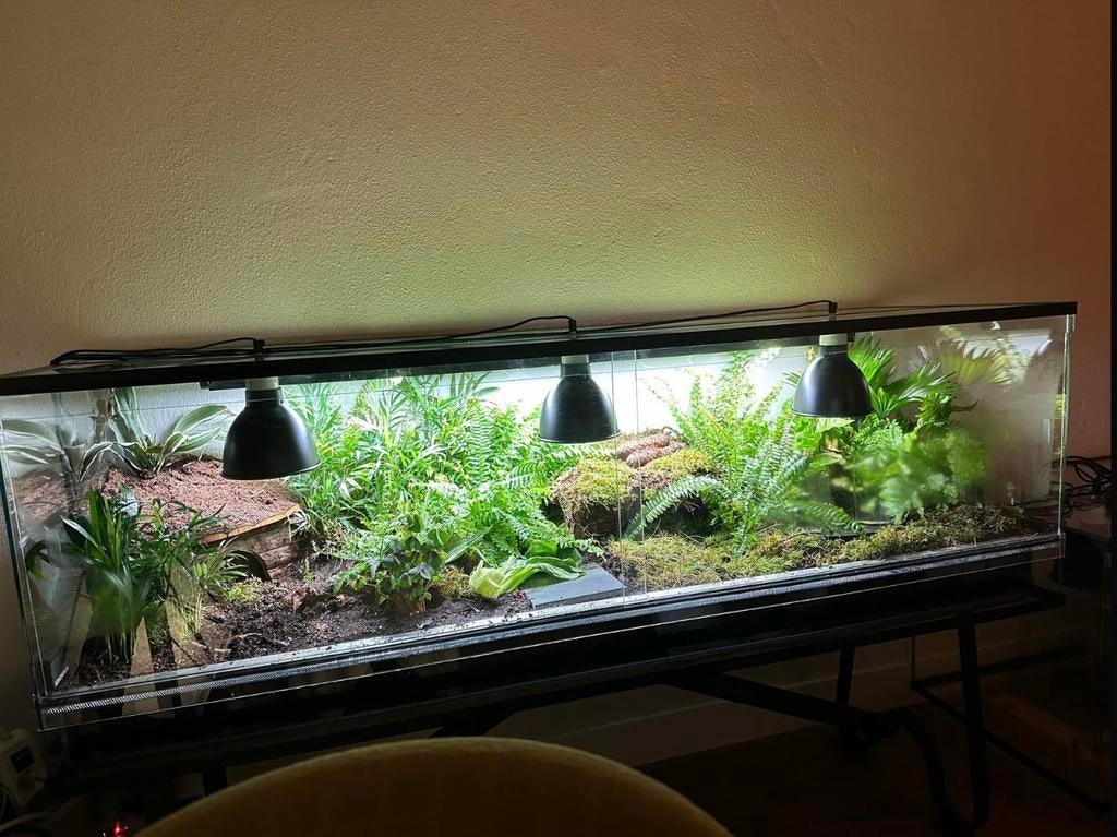 Terrarium, Ophalen, Zo goed als nieuw