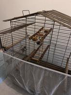Mooie Vogelkooi Taupe Inclusief Toebehoren, Dieren en Toebehoren, Vogels | Hokken en Kooien, Ophalen, Zo goed als nieuw, Metaal