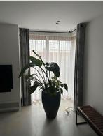 Witte Kendix Allure glasgordijnen, Ophalen of Verzenden, Zo goed als nieuw, Wit, 200 cm of meer