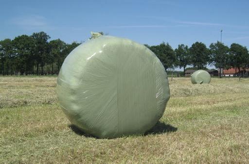 Midi balen paardenmengsel (voordroog) hooi juni 2025, Ophalen, Vee