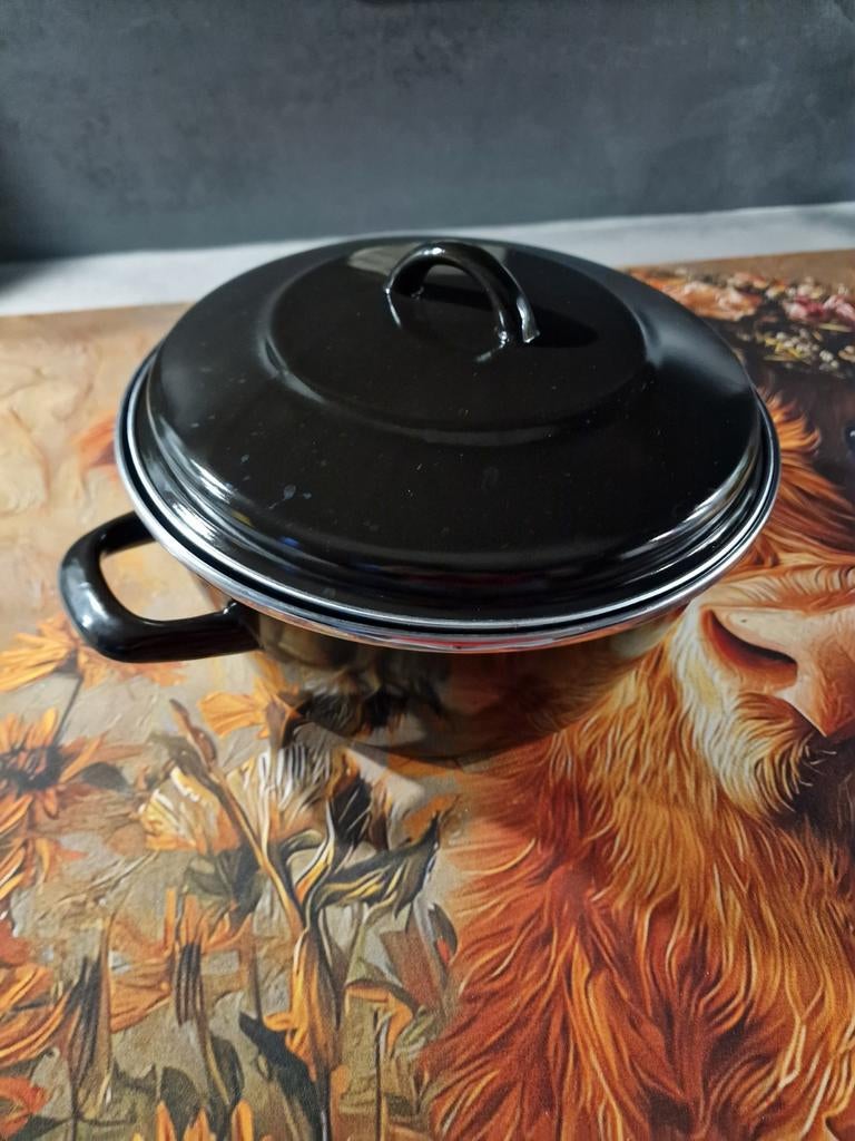 Braadpan, Ophalen of Verzenden, Zo goed als nieuw, Gietijzer, Koekenpan of Braadpan