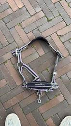 Paars shetlander halster verstelbaar, Dieren en Toebehoren, Paarden en Pony's | Hoofdstellen en Tuigage, Ophalen of Verzenden