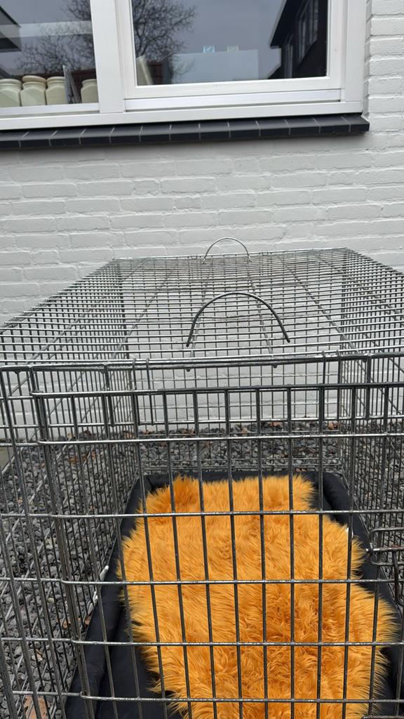 Ruime hinden bench met mat, Ophalen, Zo goed als nieuw