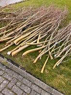 Wilgentakken gratis af te halen, Minder dan 3 m³, Ophalen