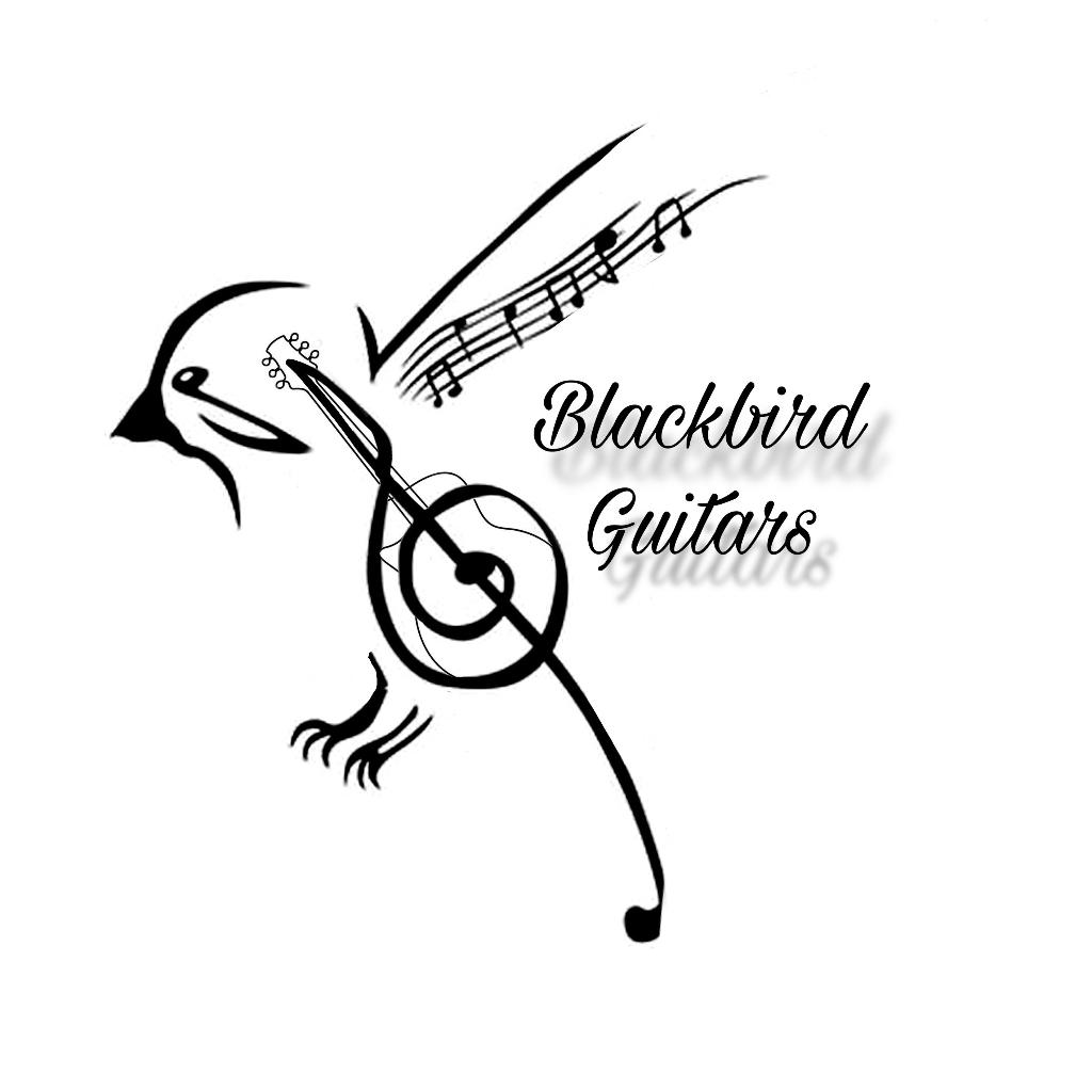 Gitaarles omgeving Oosterwolde (fr)