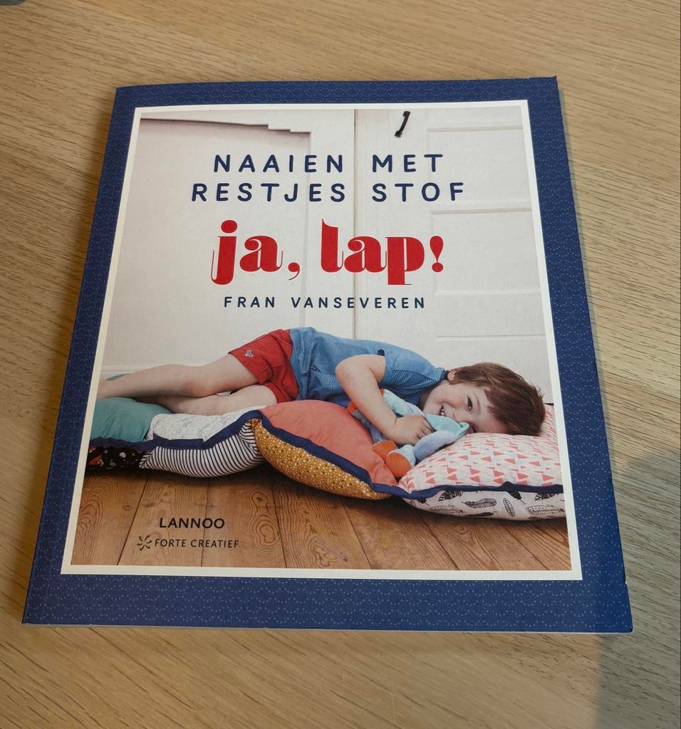 Naaien met restjes stof: Ja, Lap! Creatief boek, Ophalen, Zo goed als nieuw, Borduren en Naaien, Geschikt voor kinderen