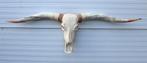 Grote schedel TEXAS STYLE LONGHORN 154 cm - ref. G