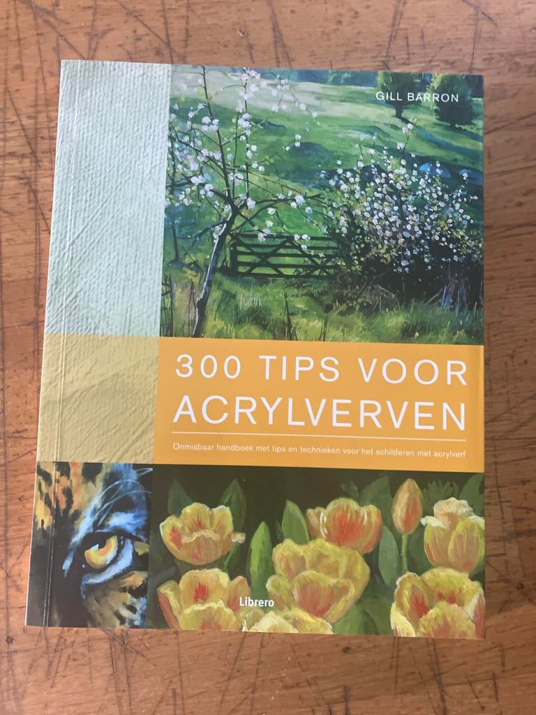 G. Baron - 300 Tips voor acrylverven, Boeken, G. Baron, Ophalen of Verzenden, Zo goed als nieuw, Overige onderwerpen