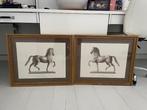 Vintage paarden schets 2 set, Ophalen