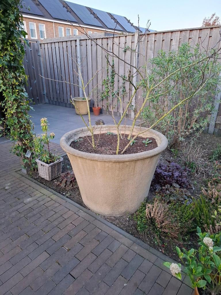 Bloempot, Ophalen, 40 cm of meer, Rond, Zo goed als nieuw