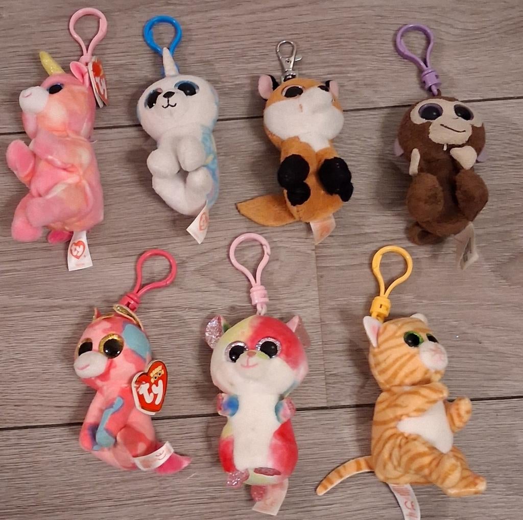 Ty beanie boo sleutelhangers, Ophalen of Verzenden, Gebruikt