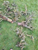 Oude appelboom stronken, Ophalen, Overige soorten, Volle zon