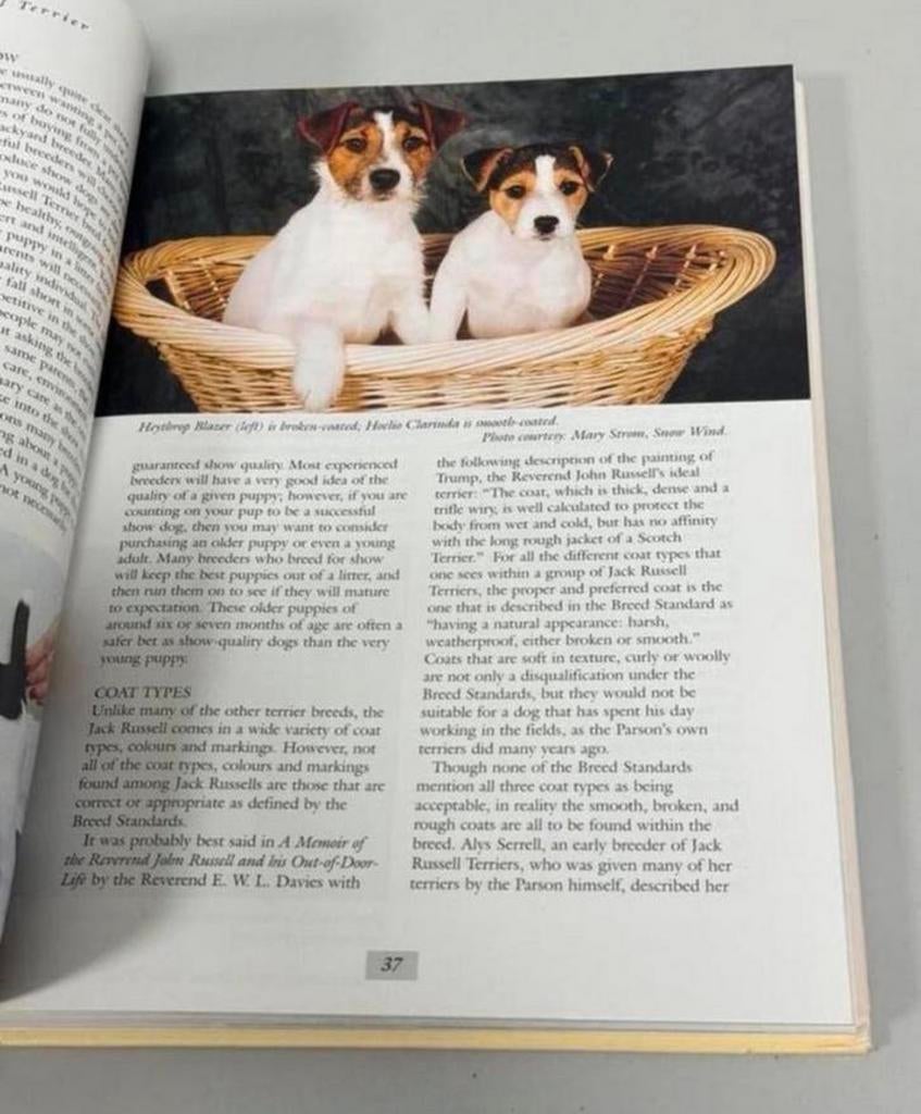 Ultimate Jack Russell Terrier by Mary Strom 1999, Hardcover, Ophalen of Verzenden, Zo goed als nieuw, Honden
