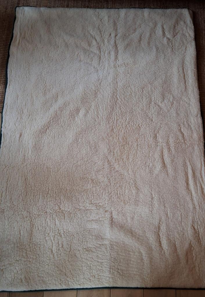 100% wollen deken/matrasbeschermer, Eenpersoons, Wit, Ophalen of Verzenden, Deken of Dekbed