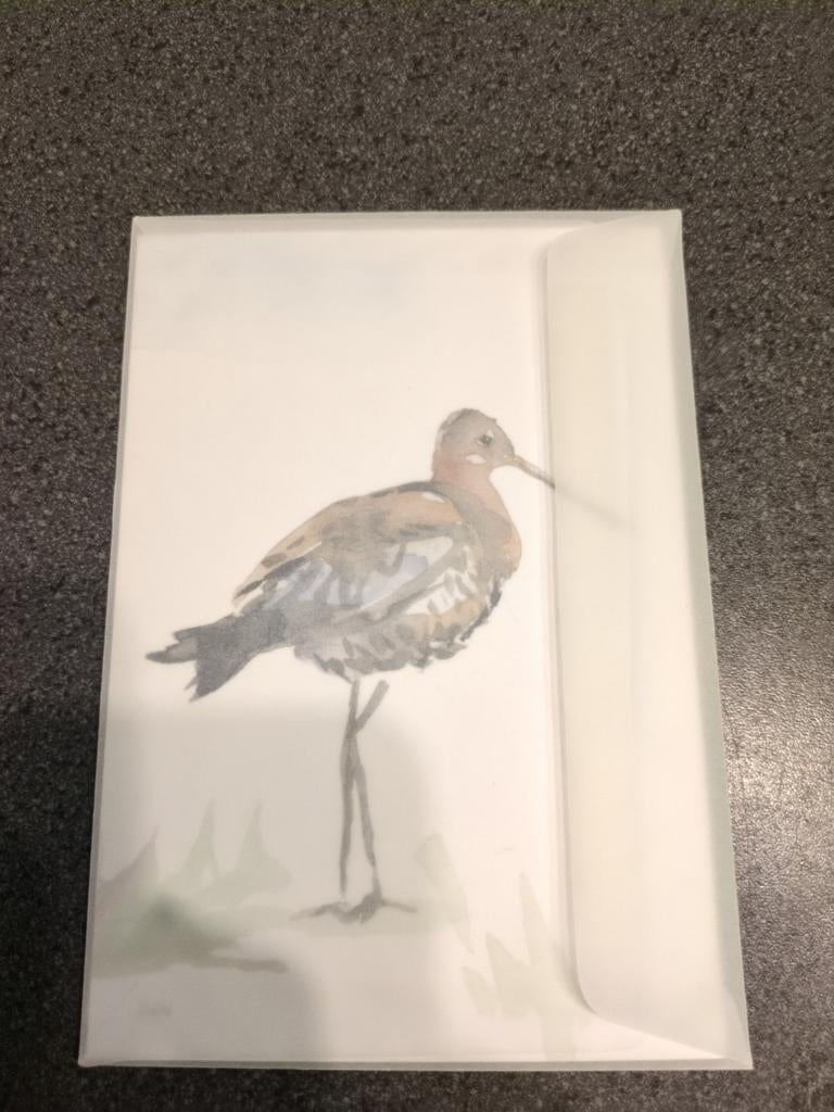 Nederlandse Weidevogels Postzegelvel met Kaarten, Postzegels en Munten, Postzegels | Nederland, Ophalen of Verzenden, Na 1940